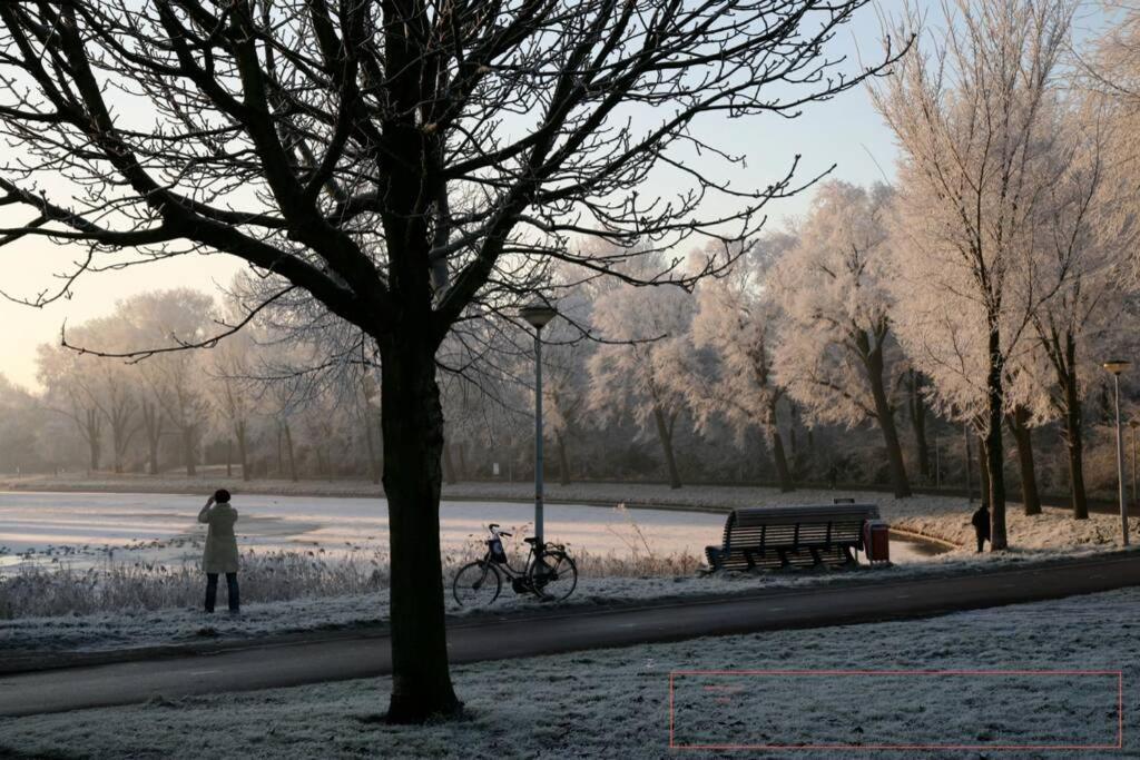 Appartamento Park View Amsterdam